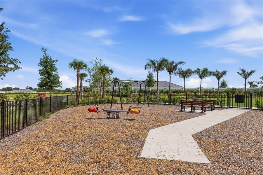 Community amenities in Esplanade at Azario Lakewood Ranch, Bradenton (Image 48).