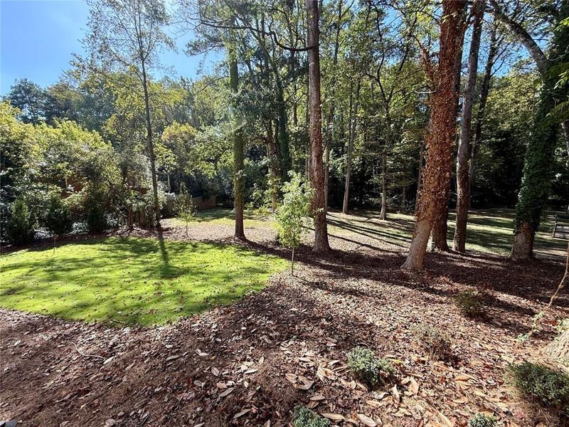 Natural landscape and outdoor views near  in Sandy Springs (Image 83).