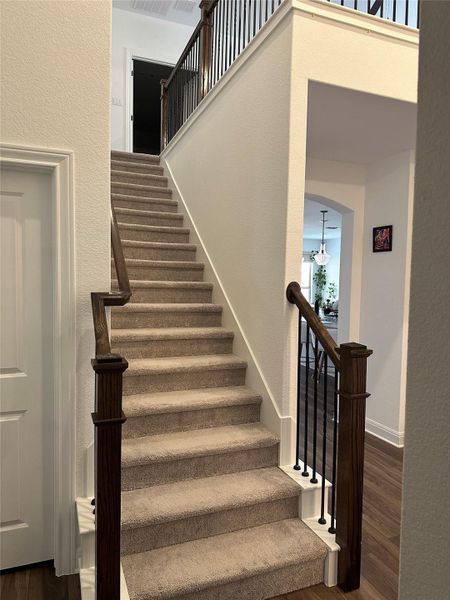 Carpeted staircase featuring dark wood newel posts and handrails with black iron balusters Carpeted staircase featuring dark wood newel posts and handrails with black iron balusters
