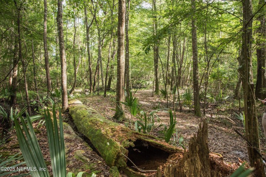Natural landscape and outdoor views near Shearwater in St. Augustine (Image 69).