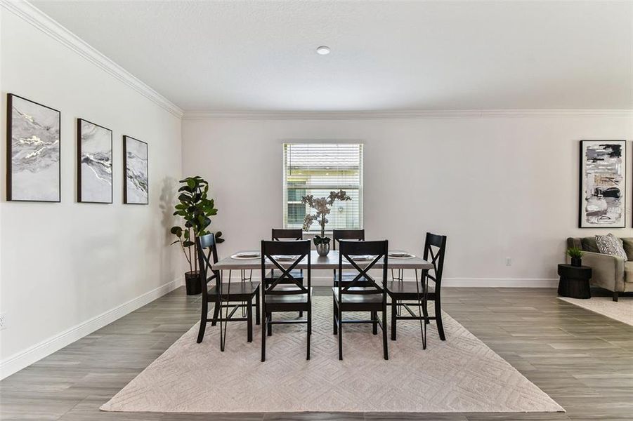 Furnished interior view inside a new home in , Land O' Lakes (Image 15).