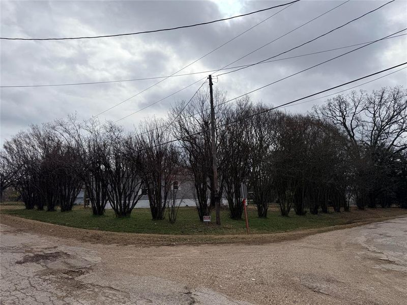 Beautiful Crape Myrtles surround the property