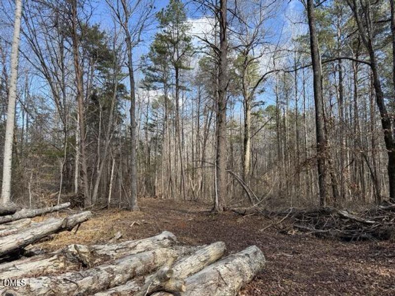 IMG_3224 Medium IMG_3224 Medium