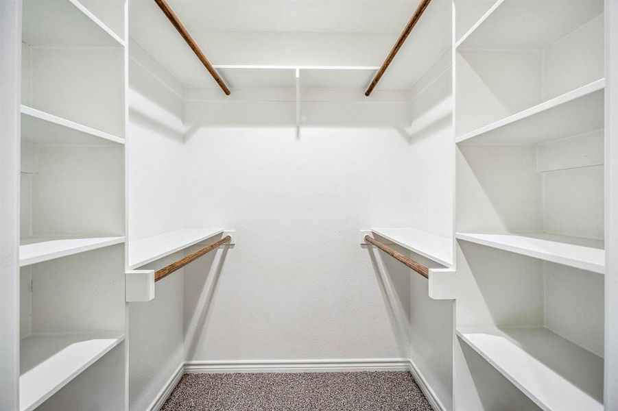 Walk in closet featuring carpet floors