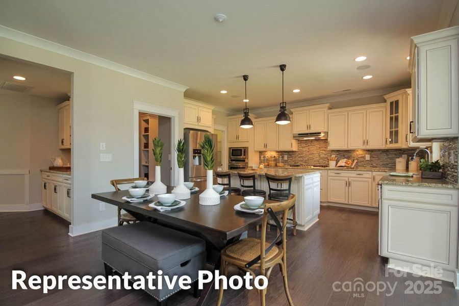 Beautiful Open Kitchen