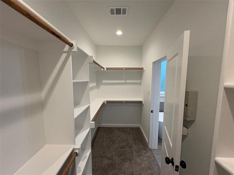 Spacious closet featuring dark carpet