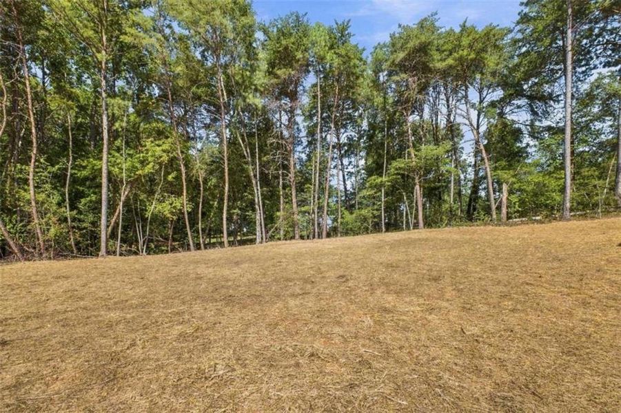 Natural landscape and outdoor views near in Rockmart (Image 47). Natural landscape and outdoor views near in Rockmart (Image 47).