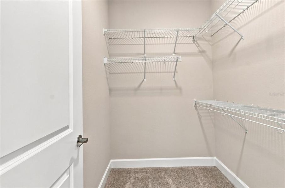 Spacious, unfurnished interior of a new home in Willow Run, Apopka (Image 12).