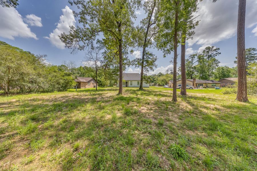 Natural landscape and outdoor views near  in New Caney (Image 41).