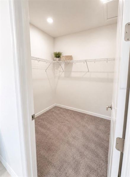 Spacious, unfurnished interior of a new home in , St. Cloud (Image 18).