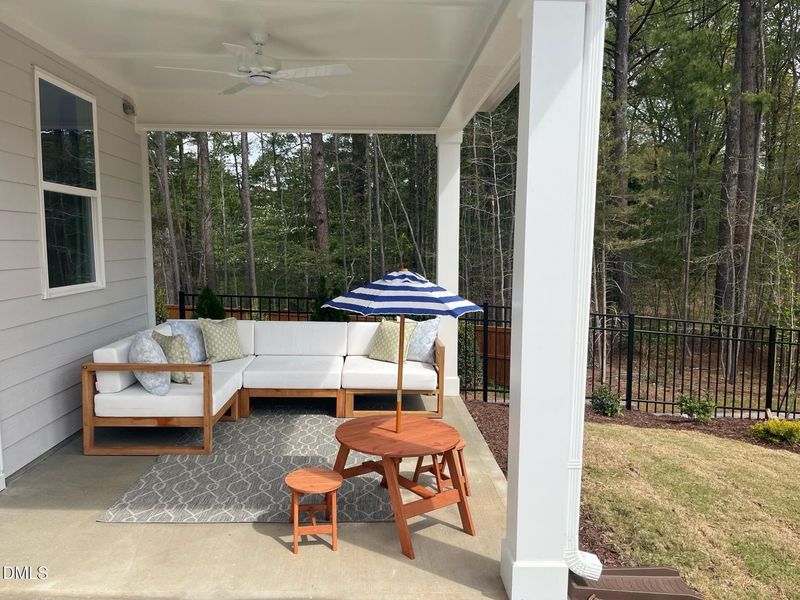 Exterior details and patio area of a home in Sage on North Main, Wake Forest (Image 26).