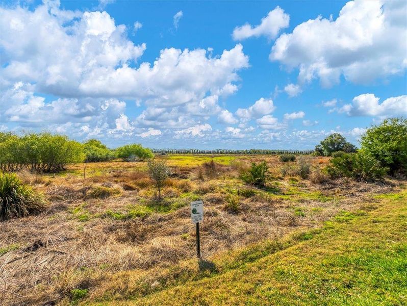 Natural landscape and outdoor views near  in Sarasota (Image 34).