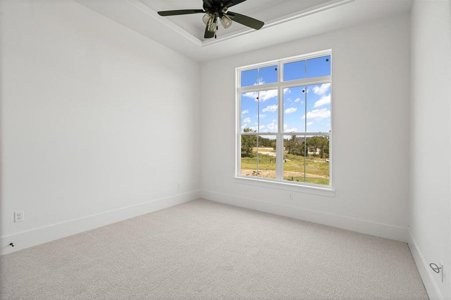 Spare room with carpet flooring, a ceiling fan, and a tray ceiling Spare room with carpet flooring, a ceiling fan, and a tray ceiling