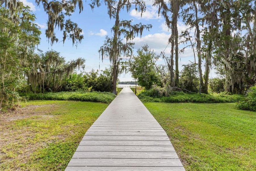 Natural landscape and outdoor views near in Land O' Lakes (Image 36). Natural landscape and outdoor views near in Land O' Lakes (Image 36).