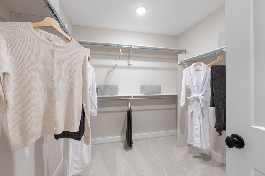 Image 21 representing the The Sunlight by Risewell Homes in Cordovan, Firestone, CO.