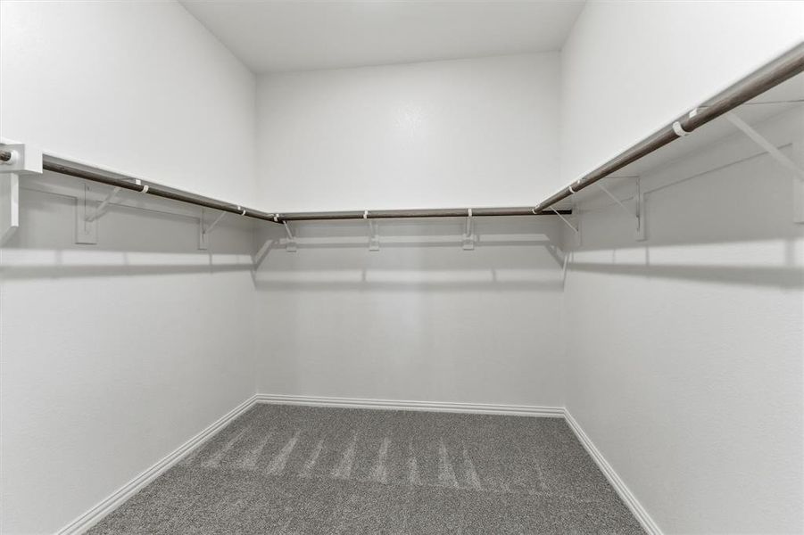 Walk in closet featuring dark carpet
