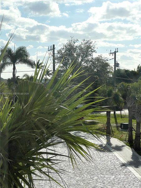 Partial views of the lagoon