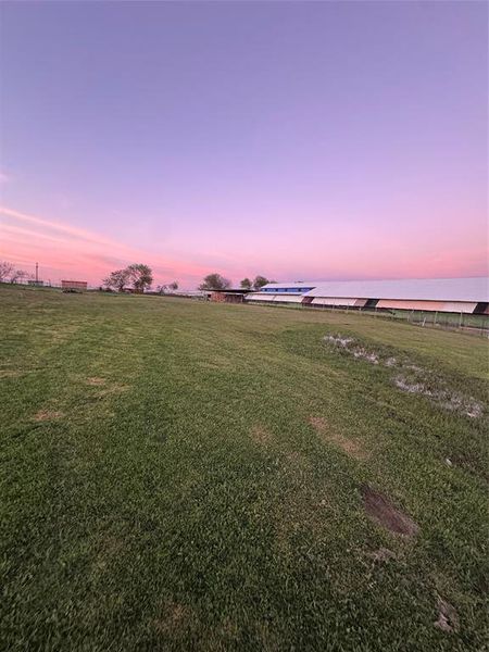 Natural landscape and outdoor views near  in Wills Point (Image 17).
