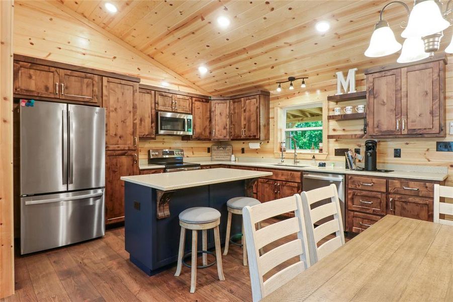 Kitchen featuring dark wood-type flooring, appliances with stainless steel finishes, decorative light fixtures, sink, and vaulted ceiling