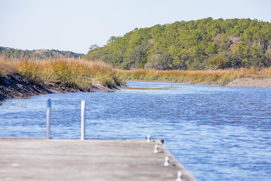 Natural landscape and outdoor views near  in Johns Island (Image 66).