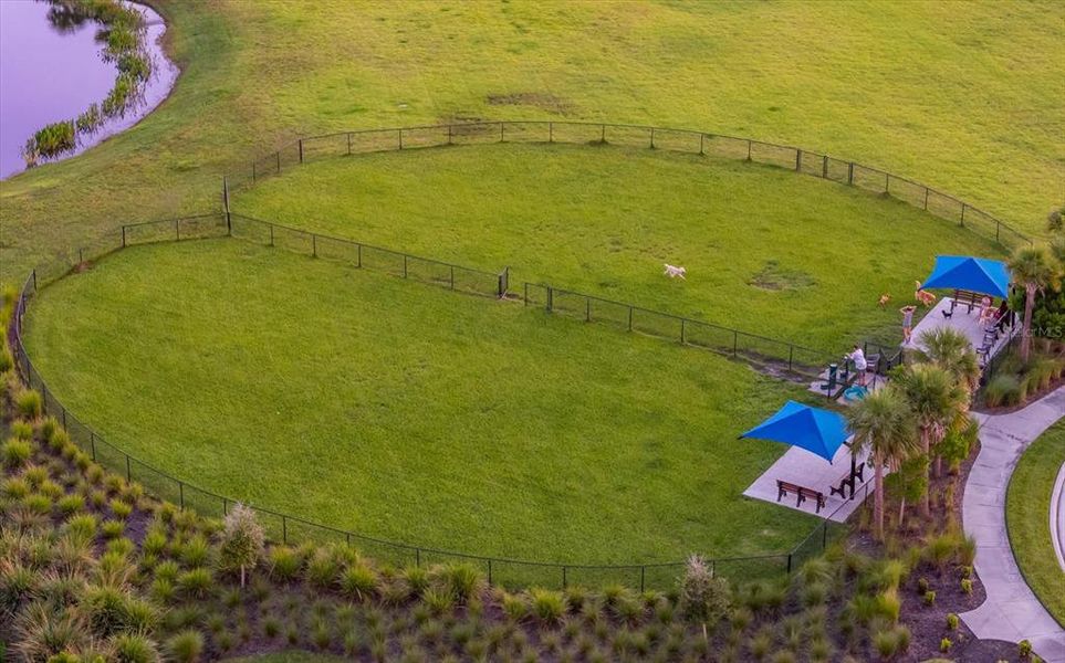 Natural landscape and outdoor views near  in Sarasota (Image 75).