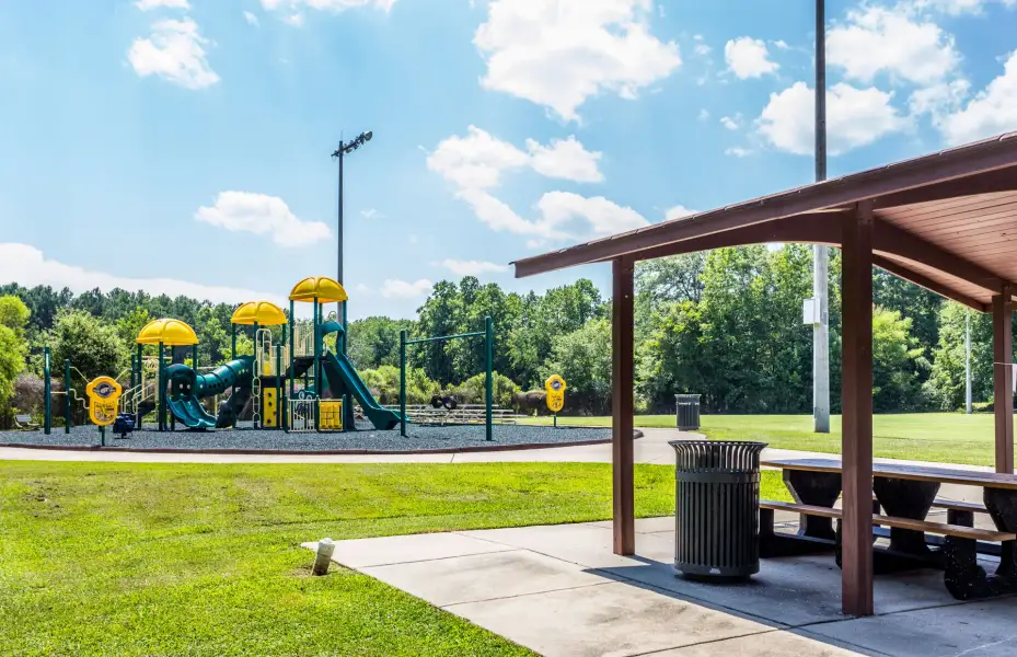 Community amenities in Saunders Farm, Willow Spring (Image 24).