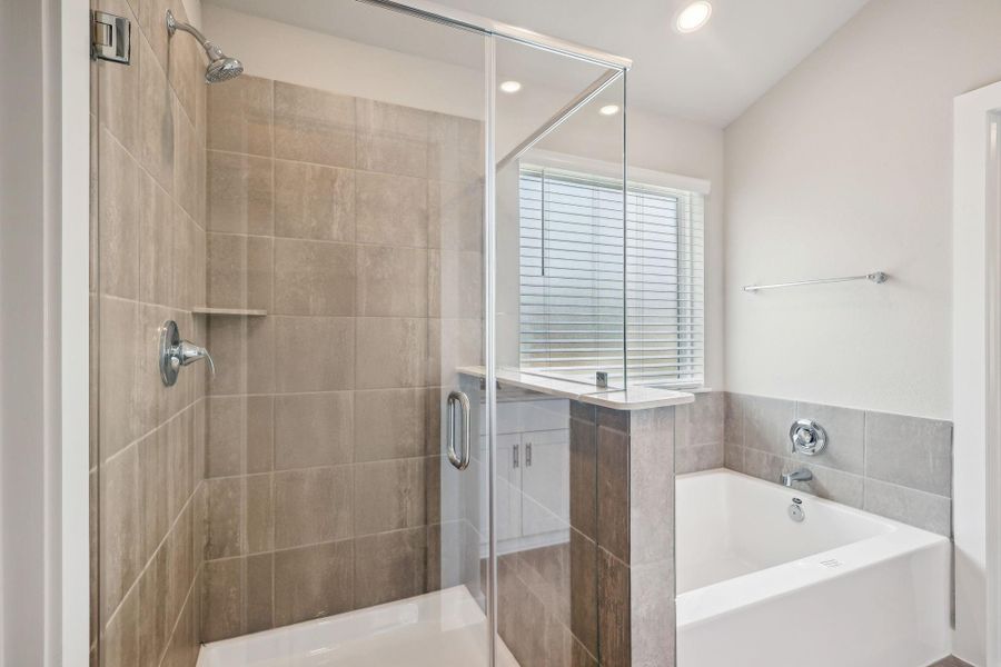 Image 34 of a home in Massey Oaks - Premier Series.