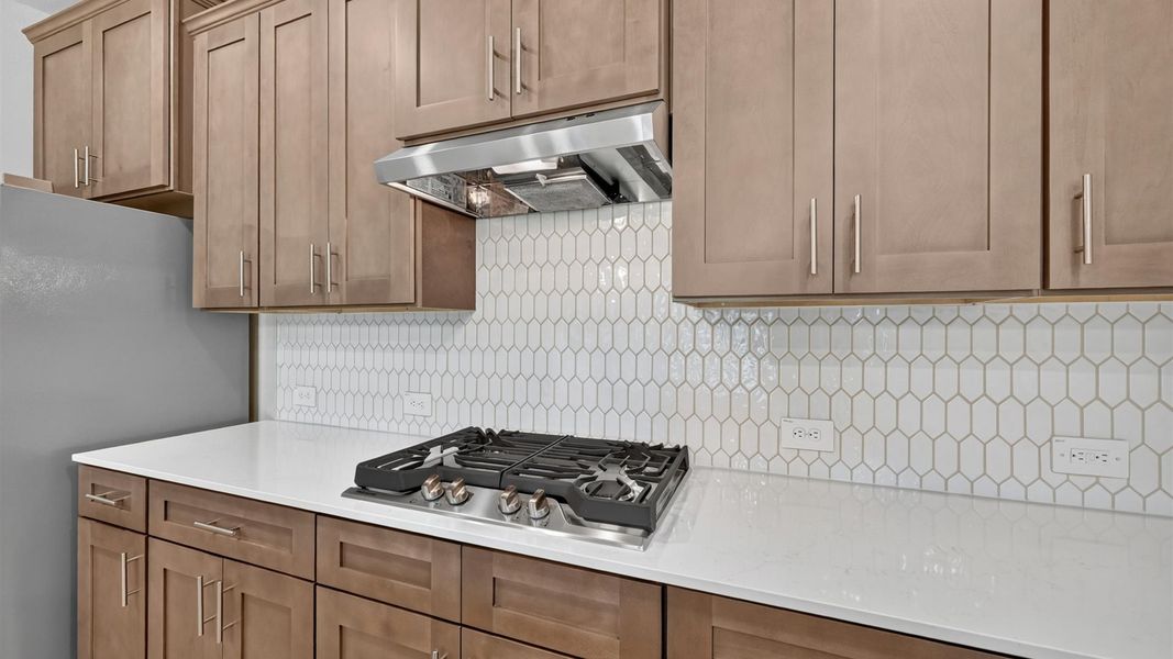 Representative interior finishes for a home built from the Emory by D.R. Horton in Lakeview Pointe, Midlothian (Image 14).