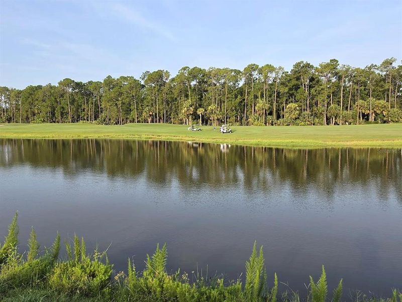 Natural landscape and outdoor views near  in Daytona Beach (Image 23).