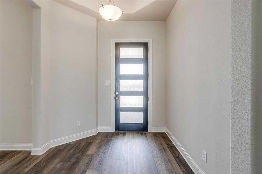 Foyer with dark hardwood / wood-style floors