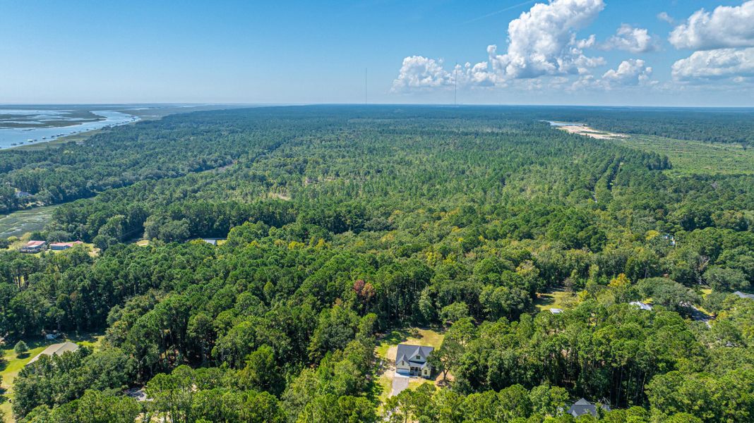 Natural landscape and outdoor views near  in Awendaw (Image 39).