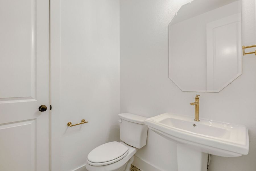 2230 Prickly Cactus - Powder Bathroom