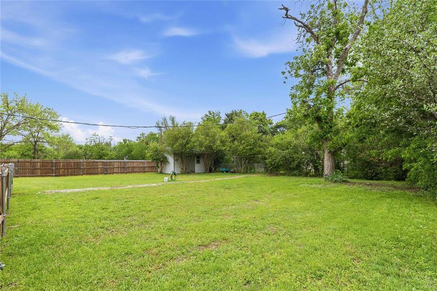 Expansive green lawn with mature trees and a wood-panel fence Expansive green lawn with mature trees and a wood-panel fence