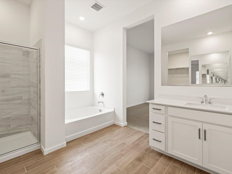 Furnished interior view inside a new home in White Tank Foothills Signature Series, Waddell (Image 4).