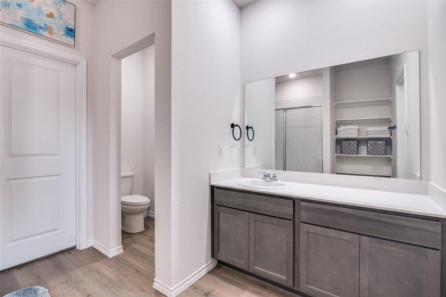 Bathroom featuring a stall shower, vanity, light wood-type flooring, and a closet Bathroom featuring a stall shower, vanity, light wood-type flooring, and a closet