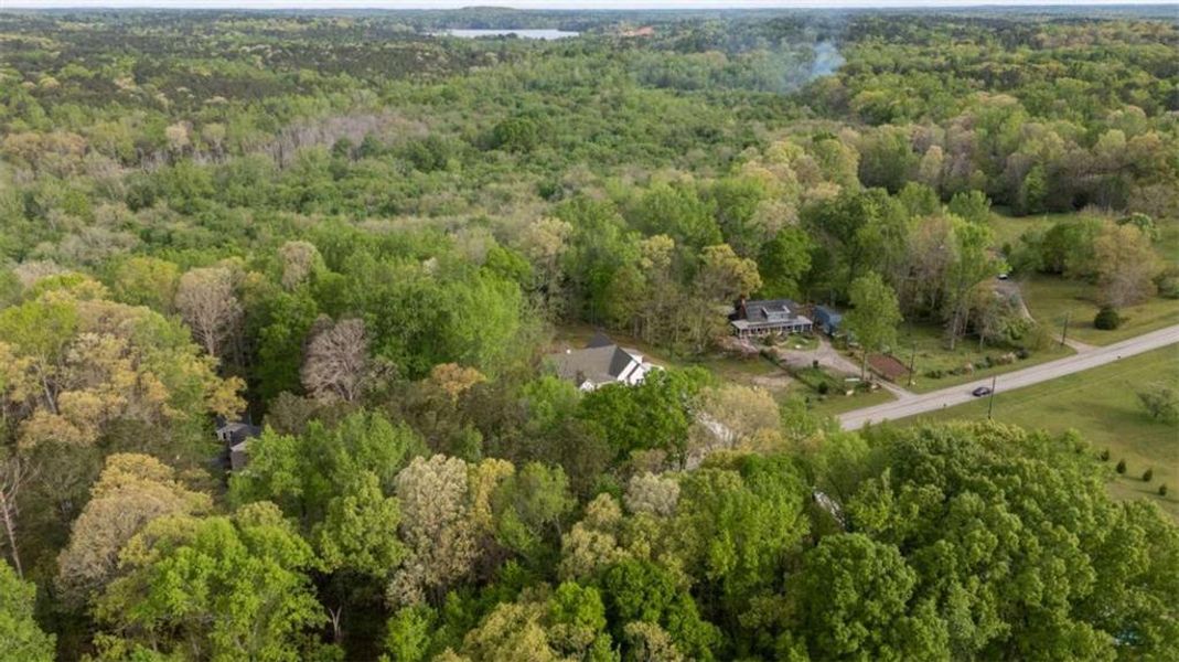 Natural landscape and outdoor views near  in Covington (Image 45).