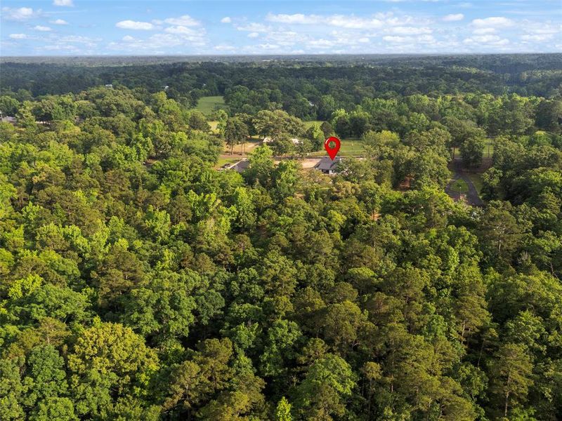 Natural landscape and outdoor views near in Gladewater (Image 31). Natural landscape and outdoor views near in Gladewater (Image 31).