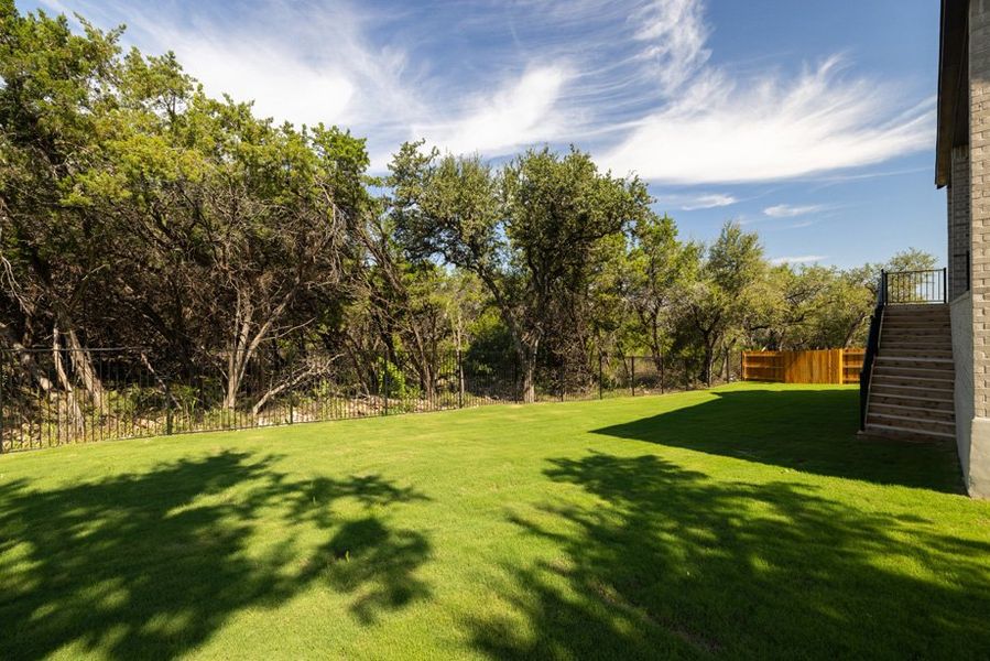 Backyard Backyard