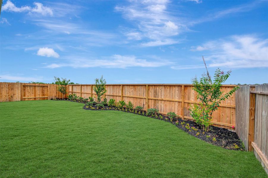 Amazing backyard with lush landscaping Amazing backyard with lush landscaping