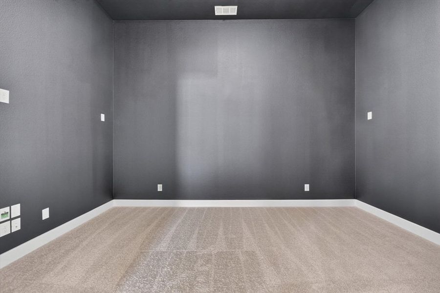 Entertainment Room