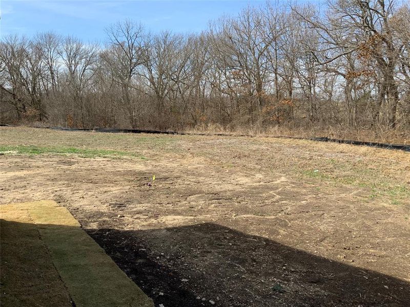 View of yard View of yard