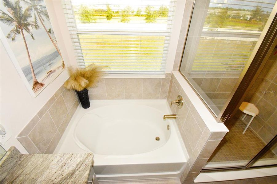 Furnished interior view inside a new home in Solera at Lakewood Ranch, Lakewood Ranch (Image 41).