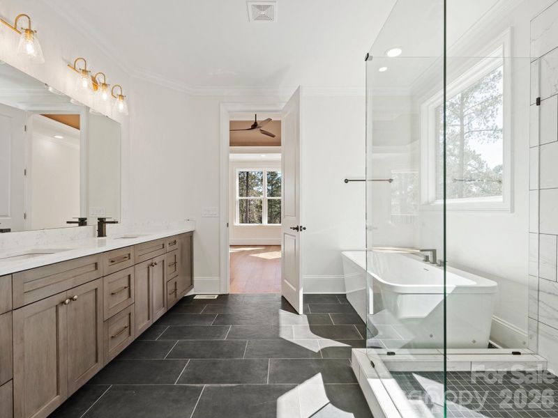 Primary bathroom with luxurious features