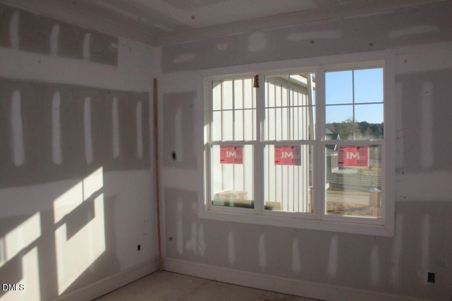 IMG_6950 (Medium) IMG_6950 (Medium)