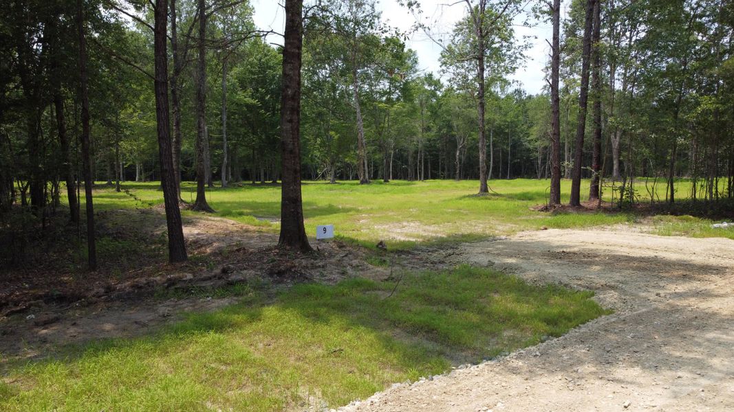 Natural landscape and outdoor views near  in Huger (Image 13).