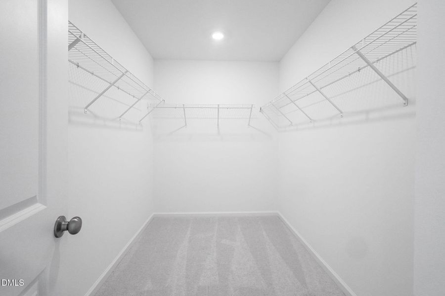 SUN_CaitlinCrossing_Pic_Chadwick-19