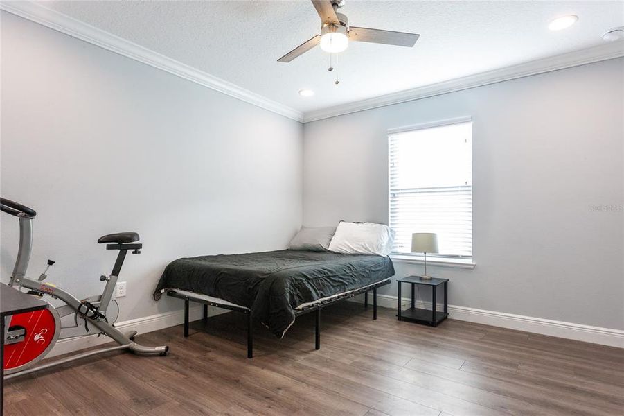 Furnished interior view inside a new home in , Williston (Image 29).
