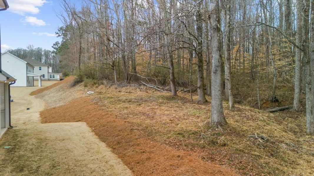 Natural landscape and outdoor views near  in Canton (Image 77).