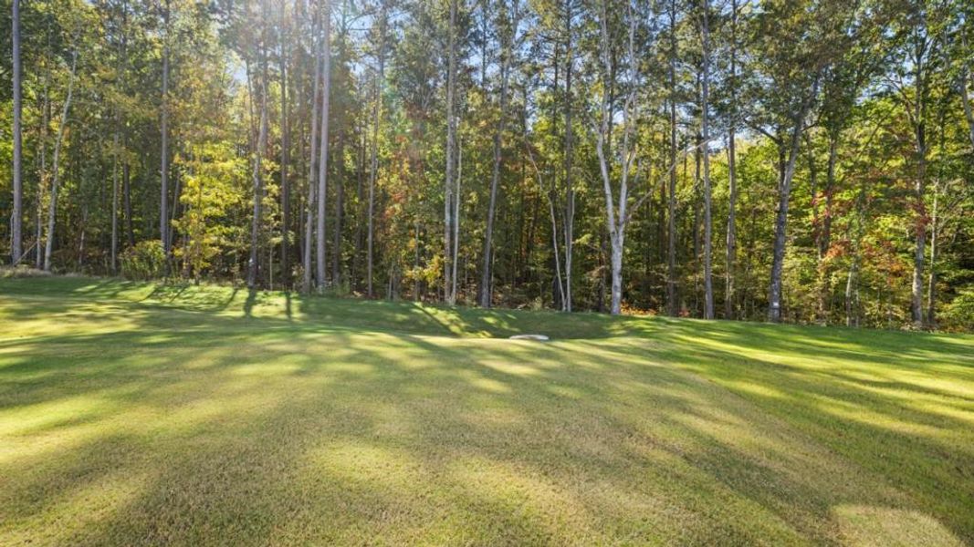 Natural landscape and outdoor views near Hamptons at Riverwood South in Dallas (Image 52).