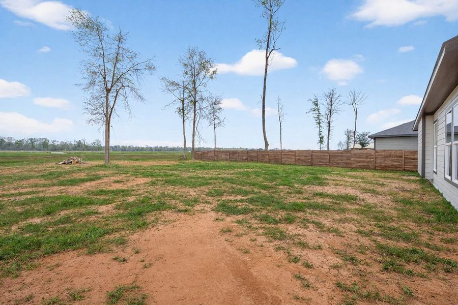 Large backyard with plenty of space for outdoor activities.